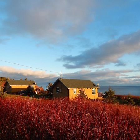 Les Chalets Brise-De-Mer Sainte-Therese-de-Gaspe Esterno foto