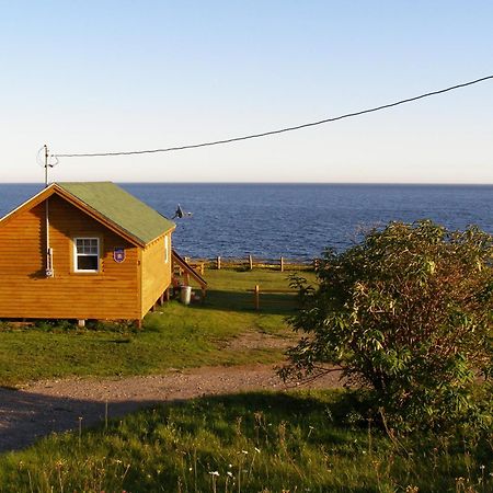 Les Chalets Brise-De-Mer Sainte-Therese-de-Gaspe Esterno foto
