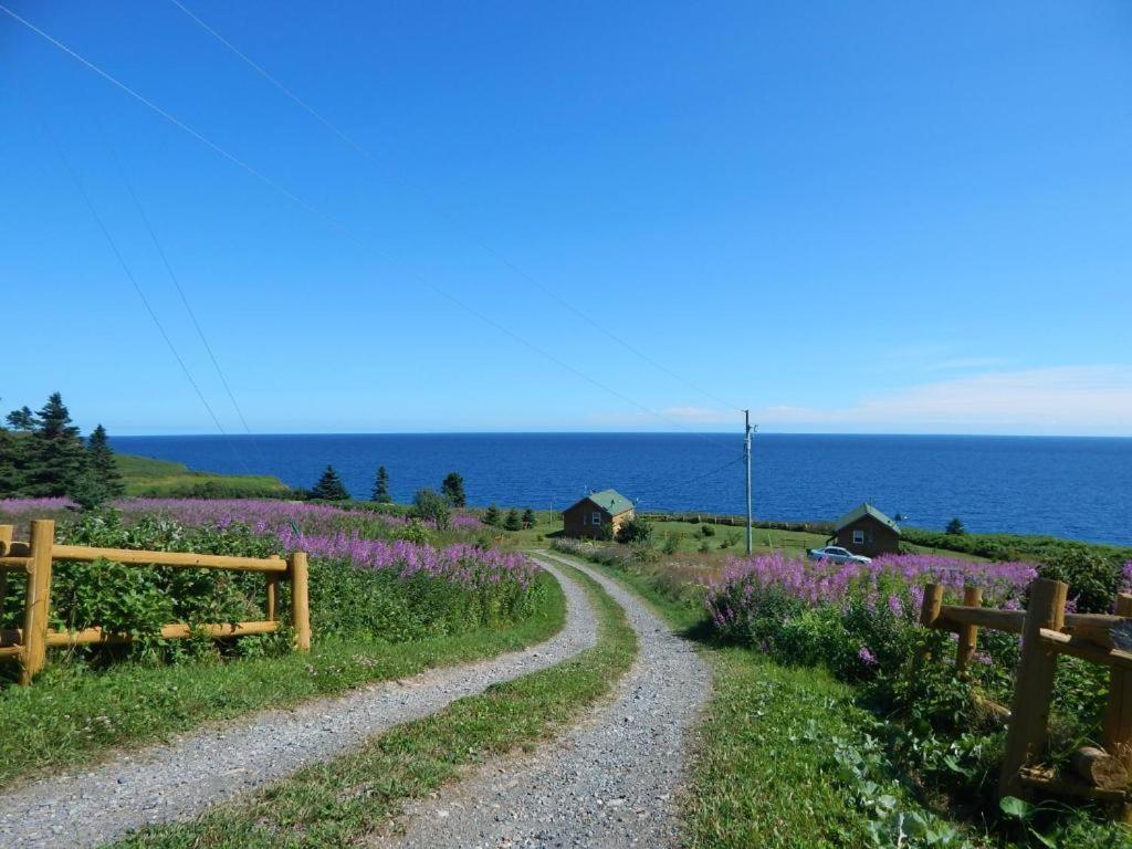 Les Chalets Brise-De-Mer Sainte-Therese-de-Gaspe Esterno foto